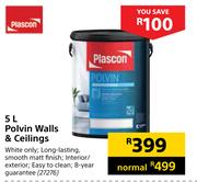 Plascon Polvin Walls & Ceilings-5L