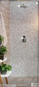 Luna Shower Screen 900mm 733200