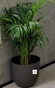 Artevasi Havana Waves Volcano Pot 400 mm 735072