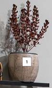 Ter Steege Emmy Brown Pot-180mm x 160mm