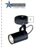 Bright Star Black Spotlight (1-Light)