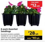 6 Pack Assorted Seedlings-Per Pack