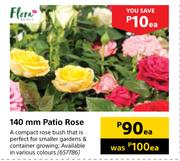 Flora 140mm Patio Rose-Each