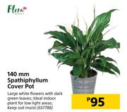 Flora 140mm Spathiphyllum Cover Pot