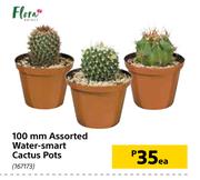 Flora 100mm Assorted Water Smart Cactus Pots-Each