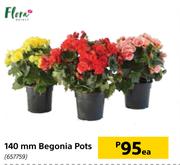 Flora 140mm Begonia Pots-Each