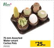 Flora 75mm Assorted Water Smart Cactus Pots-Each