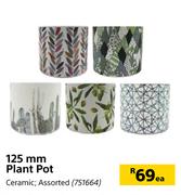 125mm Plant Pot Ceramic Assorted-Each