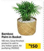 Bamboo Palm In Basket 140mm