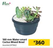 Flora 160mm Water Smart cactus Mixed Bowl Assorted