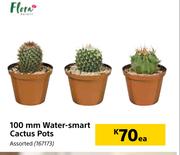 Flora 100mm Water Smart Cactus Pots Assorted-Each
