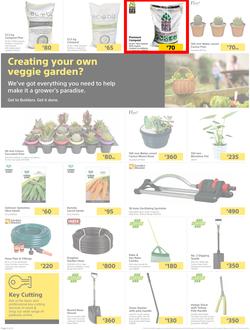 Builders Lusaka & Makeni : Here's To Sparkling Pools & Green Lawns (4 January - 24 January 2022), page 2