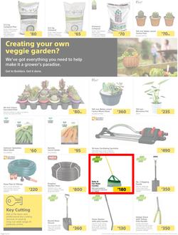 Builders Lusaka & Makeni : Here's To Sparkling Pools & Green Lawns (4 January - 24 January 2022), page 2