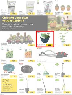 Builders Lusaka & Makeni : Here's To Sparkling Pools & Green Lawns (4 January - 24 January 2022), page 2