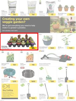 Builders Lusaka & Makeni : Here's To Sparkling Pools & Green Lawns (4 January - 24 January 2022), page 2