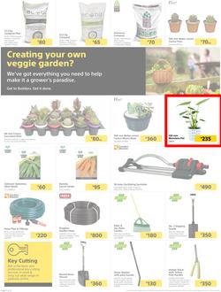 Builders Lusaka & Makeni : Here's To Sparkling Pools & Green Lawns (4 January - 24 January 2022), page 2