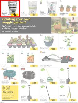 Builders Lusaka & Makeni : Here's To Sparkling Pools & Green Lawns (4 January - 24 January 2022), page 2