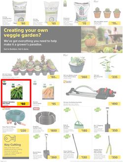 Builders Lusaka & Makeni : Here's To Sparkling Pools & Green Lawns (4 January - 24 January 2022), page 2