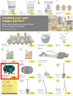 Builders Lusaka & Makeni : Here's To Sparkling Pools & Green Lawns (4 January - 24 January 2022), page 2