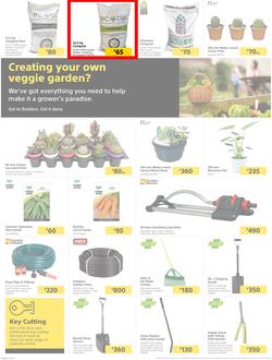 Builders Lusaka & Makeni : Here's To Sparkling Pools & Green Lawns (4 January - 24 January 2022), page 2