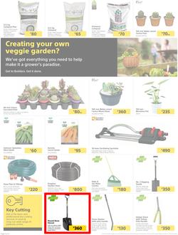 Builders Lusaka & Makeni : Here's To Sparkling Pools & Green Lawns (4 January - 24 January 2022), page 2