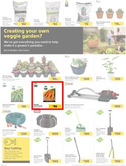 Builders Lusaka & Makeni : Here's To Sparkling Pools & Green Lawns (4 January - 24 January 2022), page 2