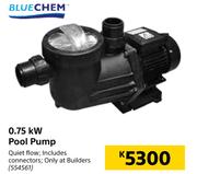 Blue Chem 0.75 KW Pool Pump
