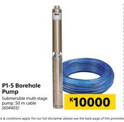 P1-5 Borehole Pump
