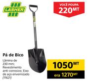 Lasher Pa de Bico