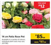 14cm Patio Rose Pot-Each
