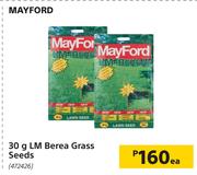 Mayford 30g LM Berea Grass Seeds-Each
