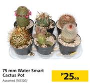 75mm Water Smart Cactus Pot Assorted-Each