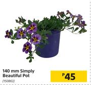 140mm Simply Beautiful Pot