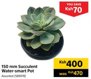 150mm Succulent Water Smart Pot