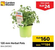 Garden Master 120mm Herbal Pots Mint