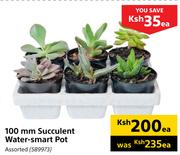 100mm Succulent Water Smart Pot-Each