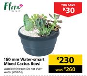 Flora 160mm Water Smart Mixed Cactus Bowl