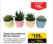 Classic Succulents In 90mm Ceramic-Each