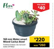 Flora 160mm Water Smart Mixed Cactus Bowl