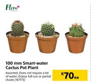 Flora 100mm Smart Water Cactus Pot Plant-Each