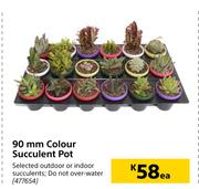 90mm Colour Succulent Pot-Each