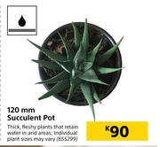 120mm Succulent Pot