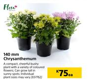 Flora 140mm Chrysanthemum-Each