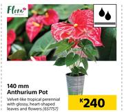 Flora 140mm Anthurium Pot