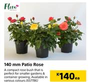 Flora 140mm Patio Rose-Each