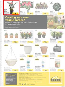 Builders Lusaka And Makeni : Here's To The Gardeners (20 July - 16 August 2021), page 4
