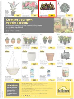 Builders Lusaka And Makeni : Here's To The Gardeners (20 July - 16 August 2021), page 4