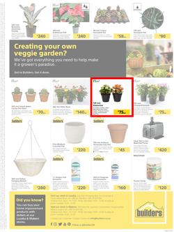Builders Lusaka And Makeni : Here's To The Gardeners (20 July - 16 August 2021), page 4