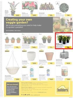 Builders Lusaka And Makeni : Here's To The Gardeners (20 July - 16 August 2021), page 4