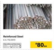 Reinforced Steel (6m, Y12)-Each